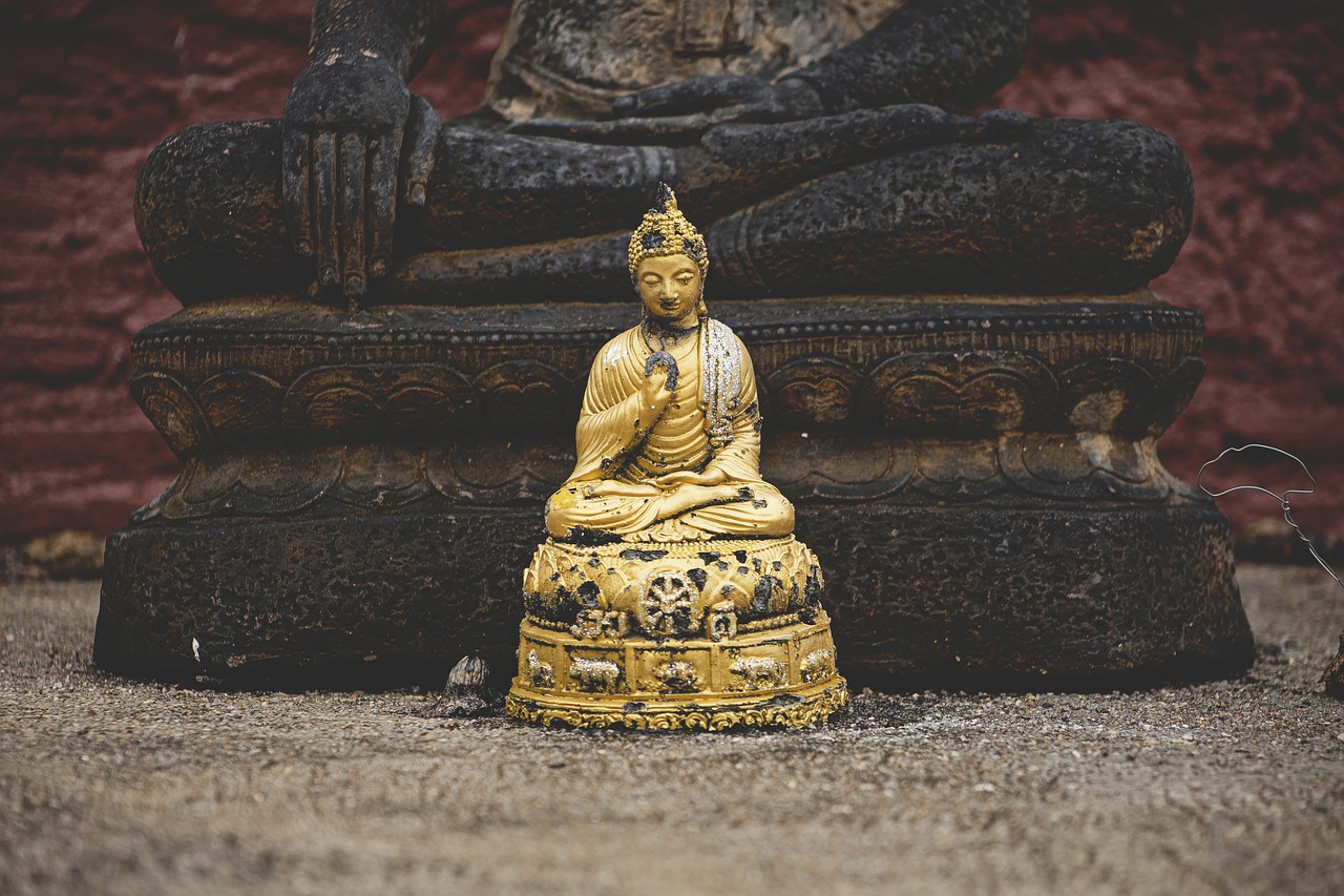 郭苇昀探索艺术新领域，最新动态与发现