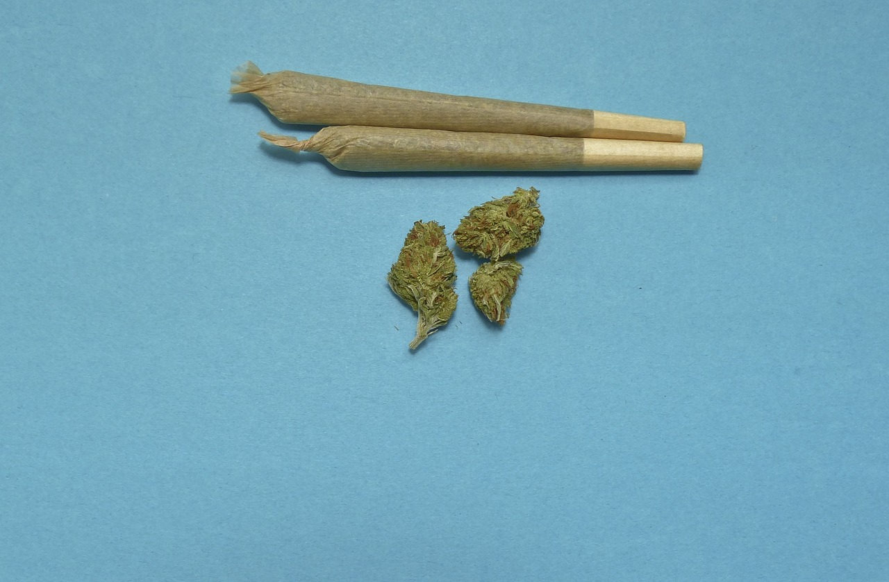 麒麟门最新招聘动态，引领行业发展的机遇与挑战揭秘