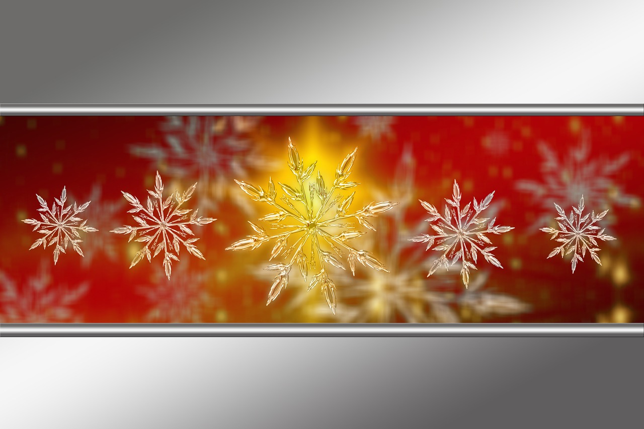 星卡在长沙的最新动态与消息概览
