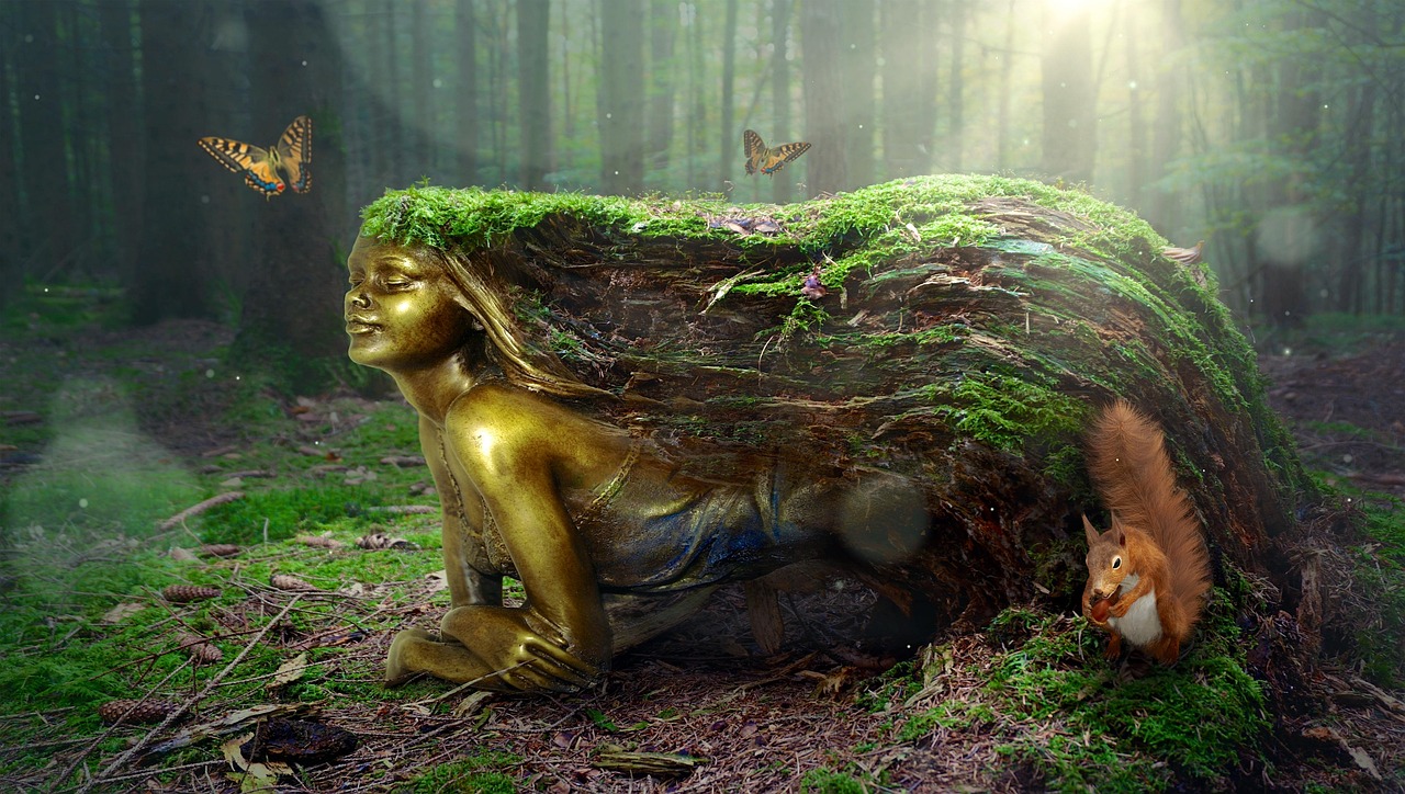 奇幻森林的小小探险家，最新童趣故事集结