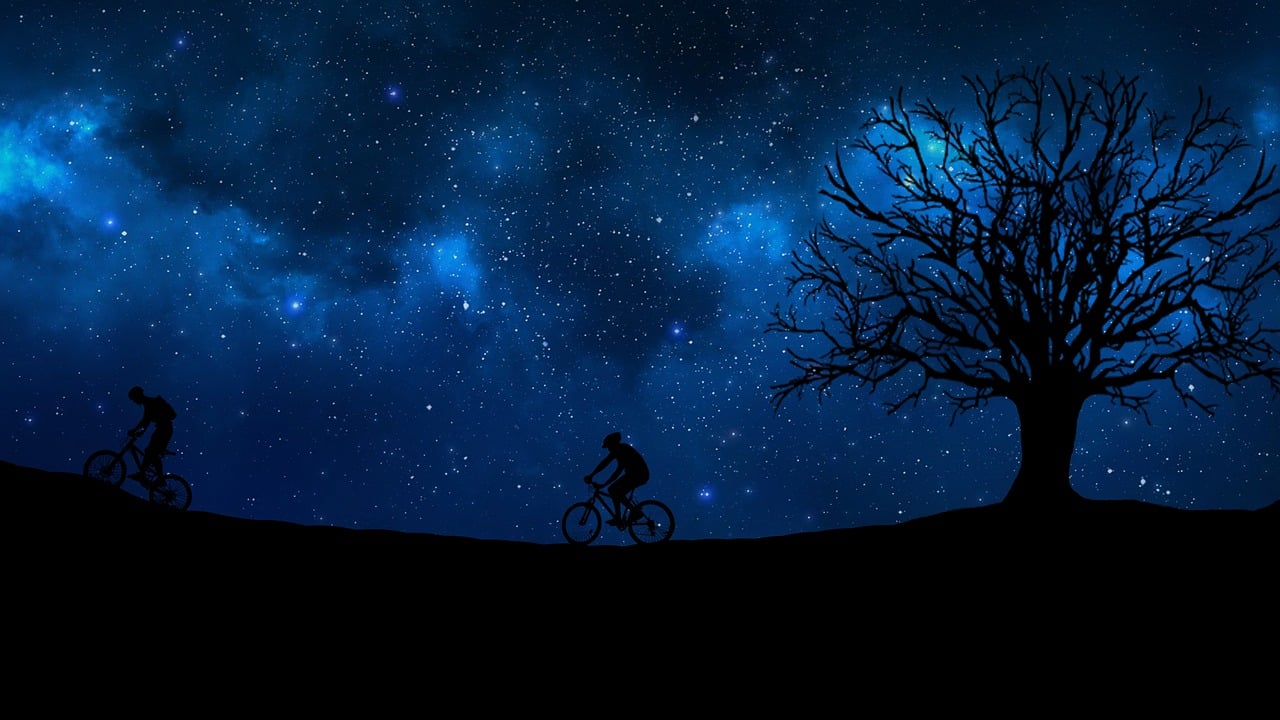 摩羯座明星男的坚韧星辉之路