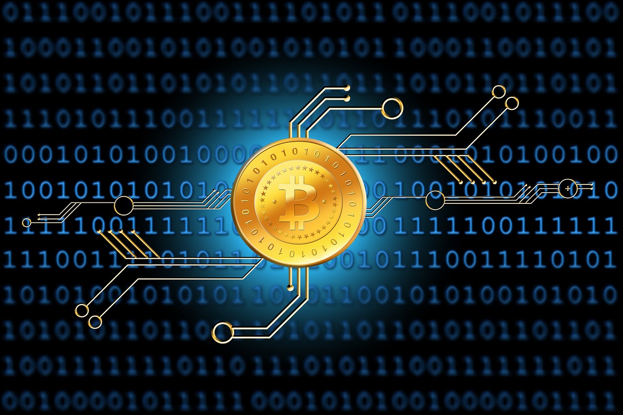 全球共同抗击疫情的新篇章，最新抗疫热词解析与追踪