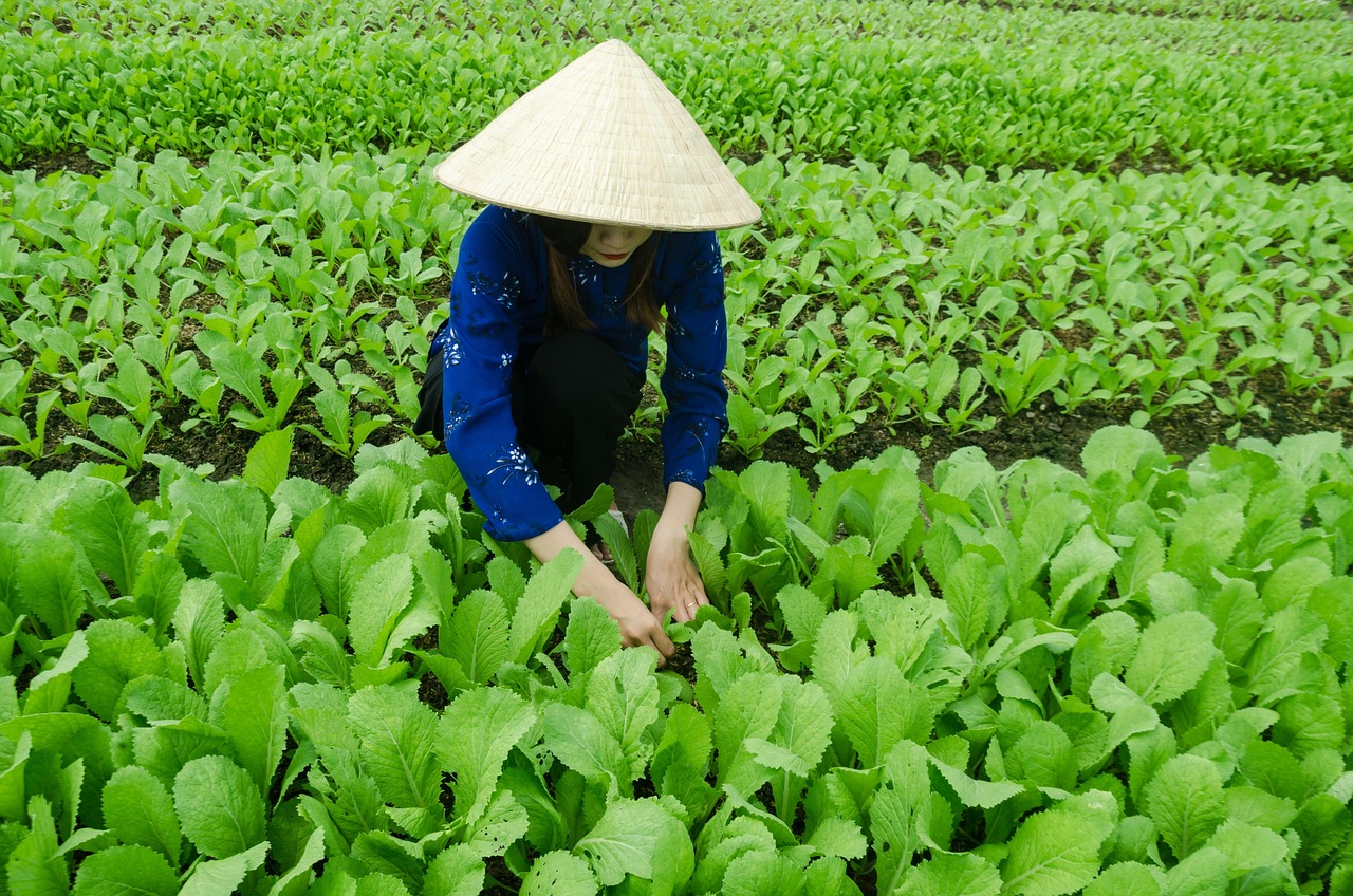 瓦房店谢德洋最新动态揭秘，最新进展与消息速递