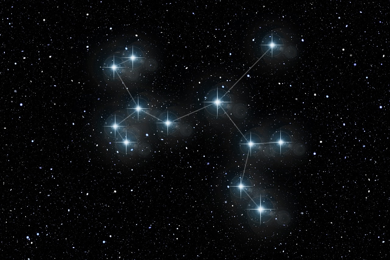 王茜华闪耀2025明星同乐会，星光熠熠之夜！