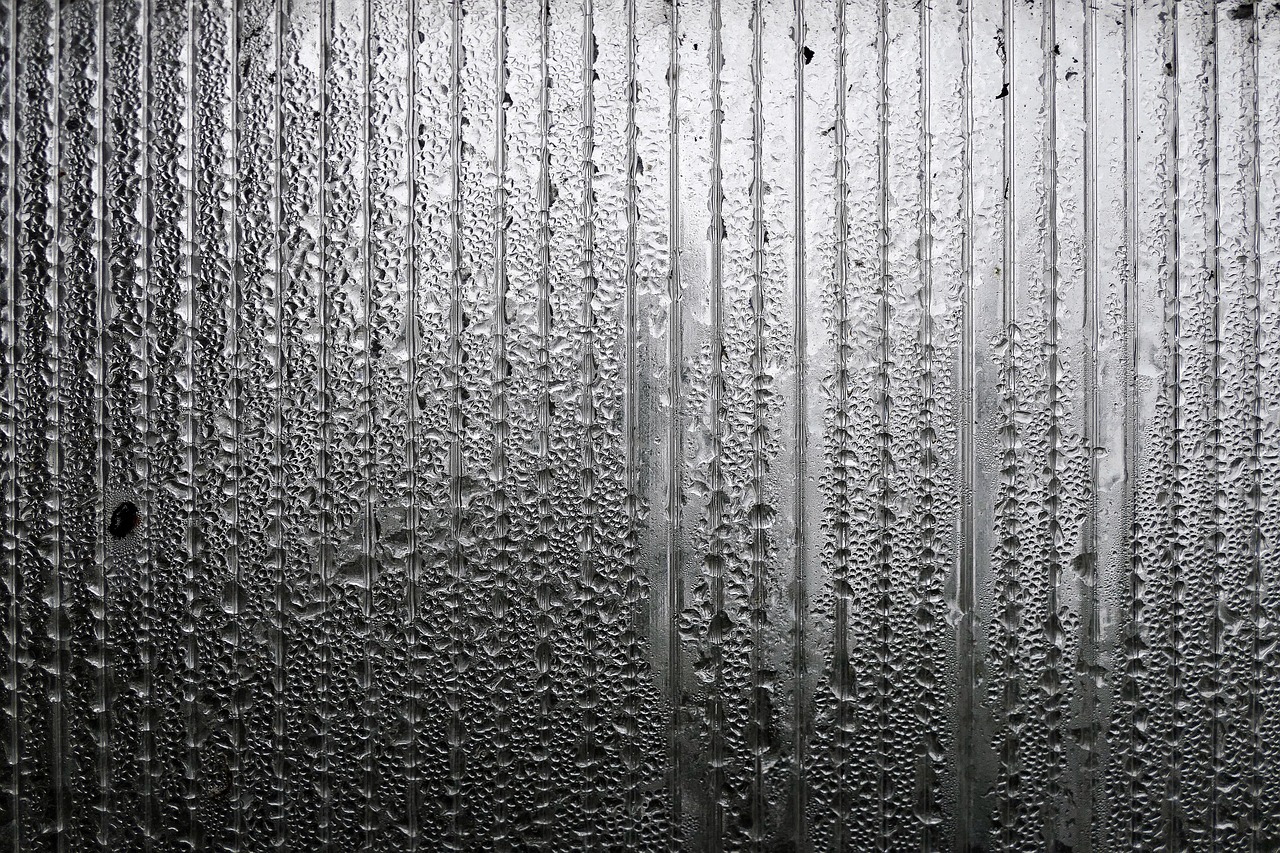 应对暴雨天气及其影响，最新强降雨资讯详解