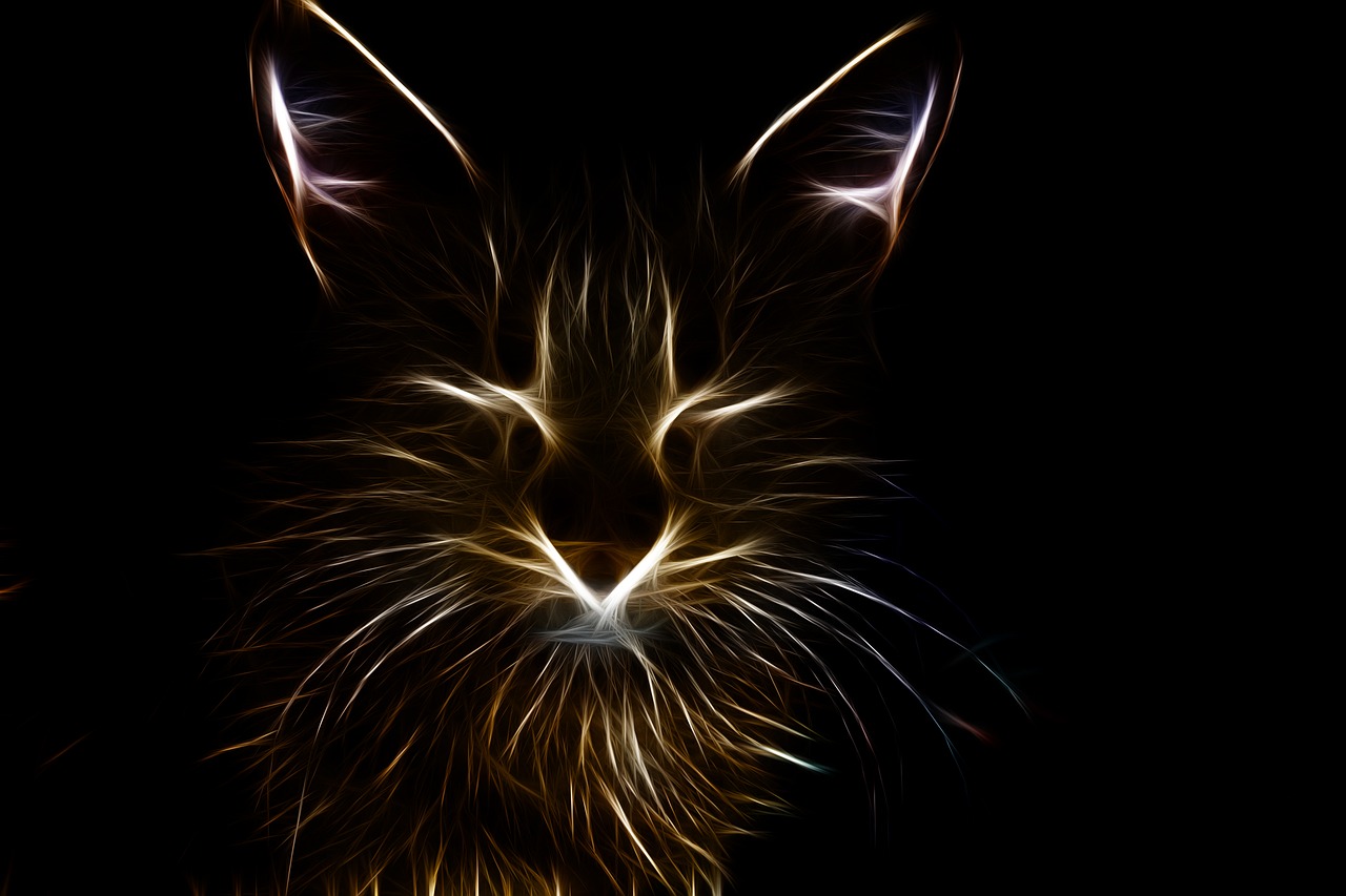 探寻四月猪猫新动态，宠物界的最新趋势与动态