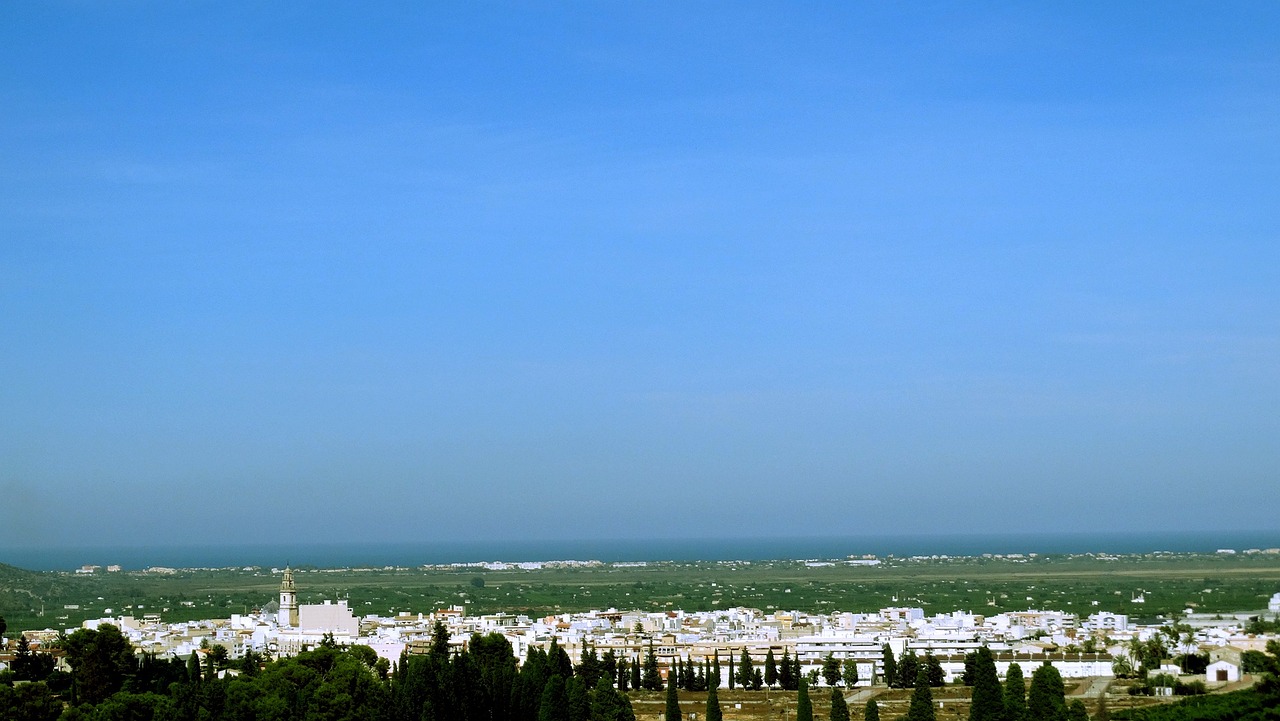 四月蓝筹股动态观察，最新趋势与市场分析