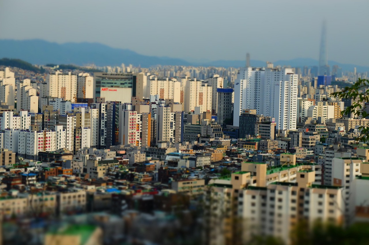 风起半山
