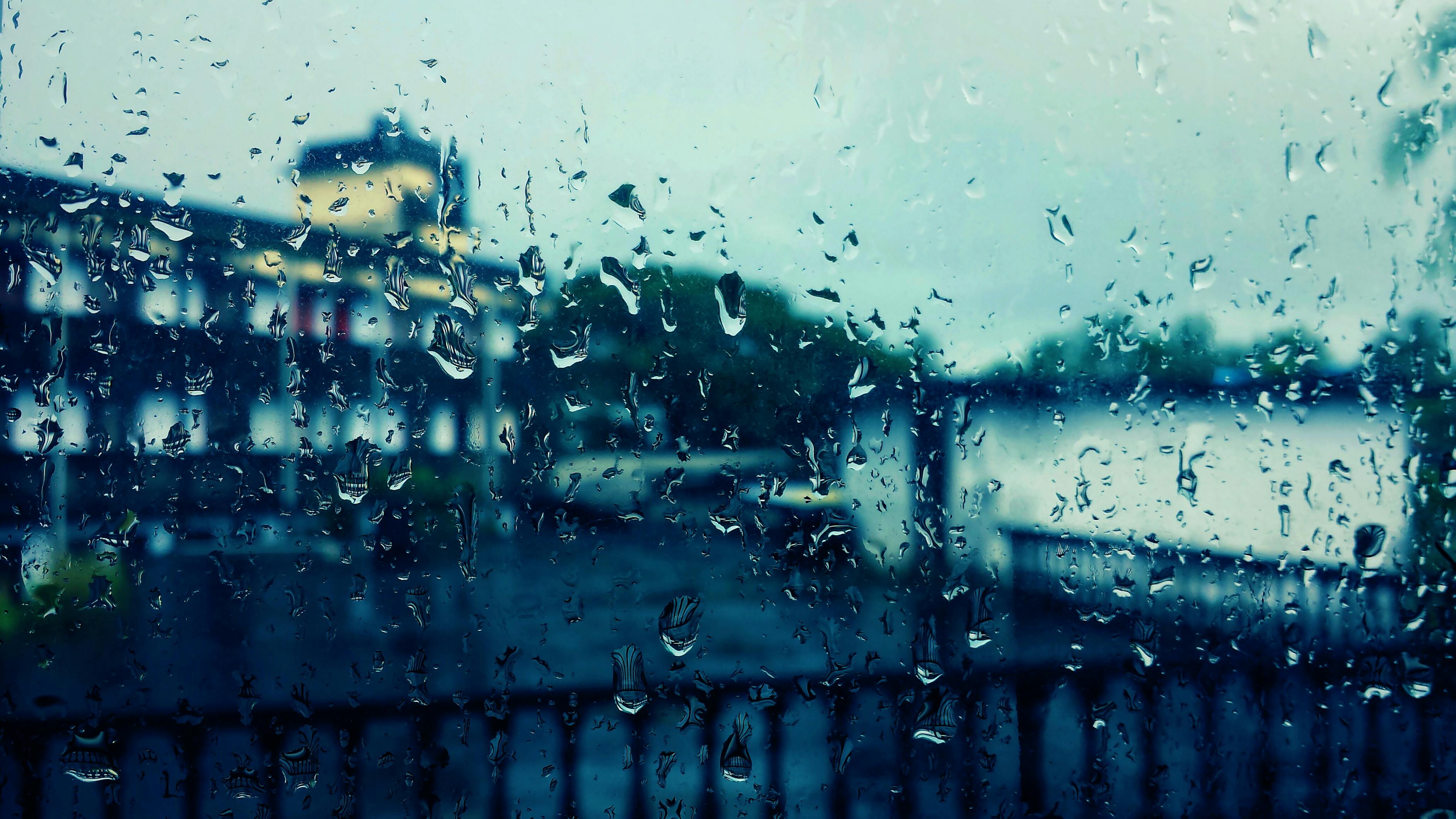五月之韵，像雨像雾又像风演员群像揭秘