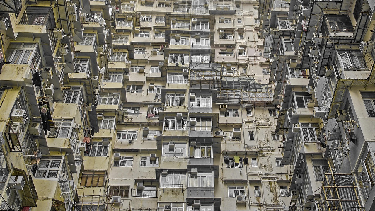五月香港群众演员的独特风采展示