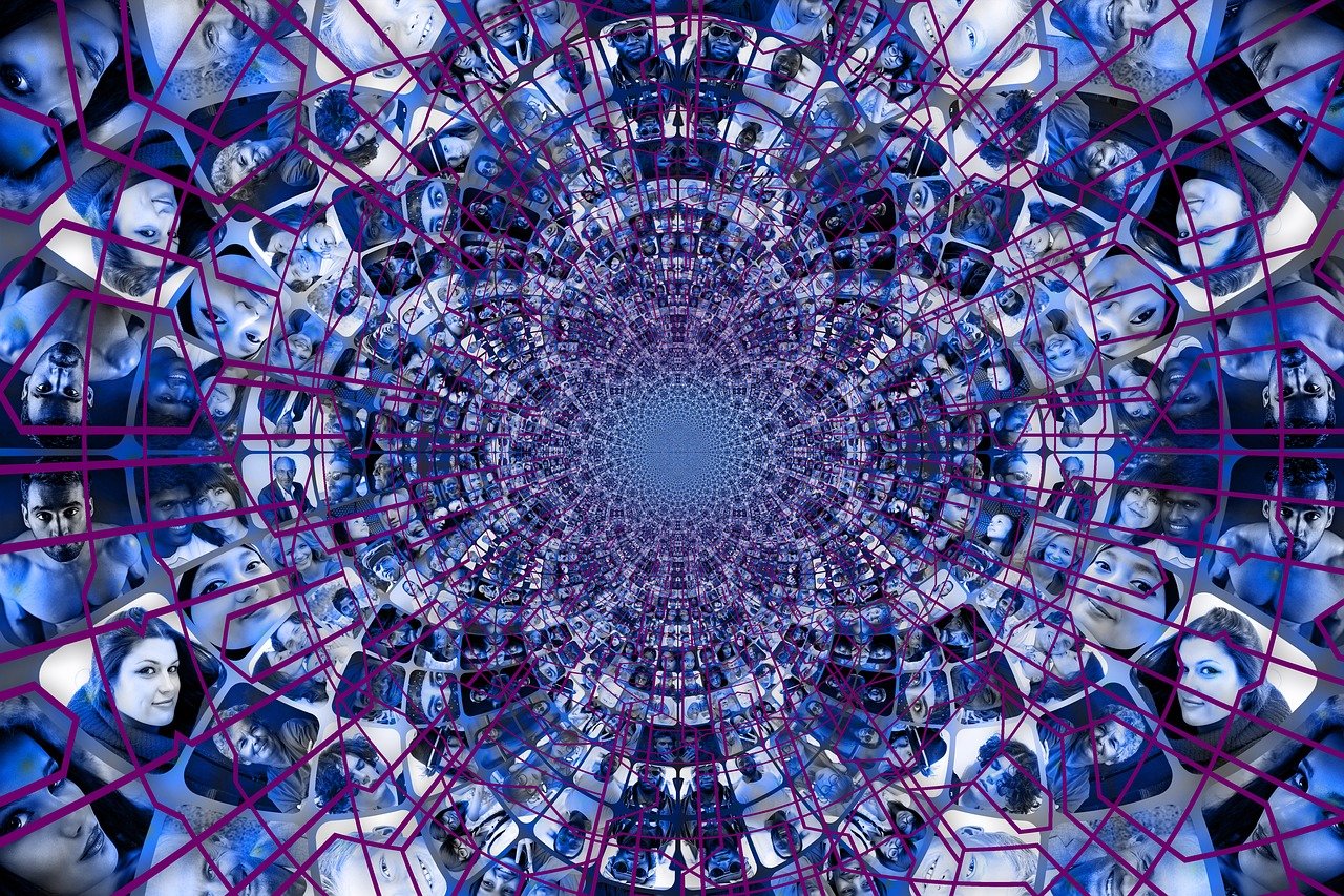 五月大蜘蛛资讯揭秘，蜘蛛世界的神秘面纱