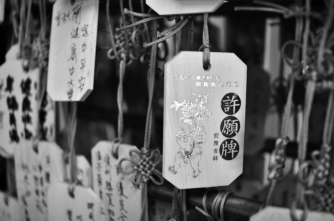 五月独特标签的魅力与启示，探索最新标签，揭示五月之美的启示